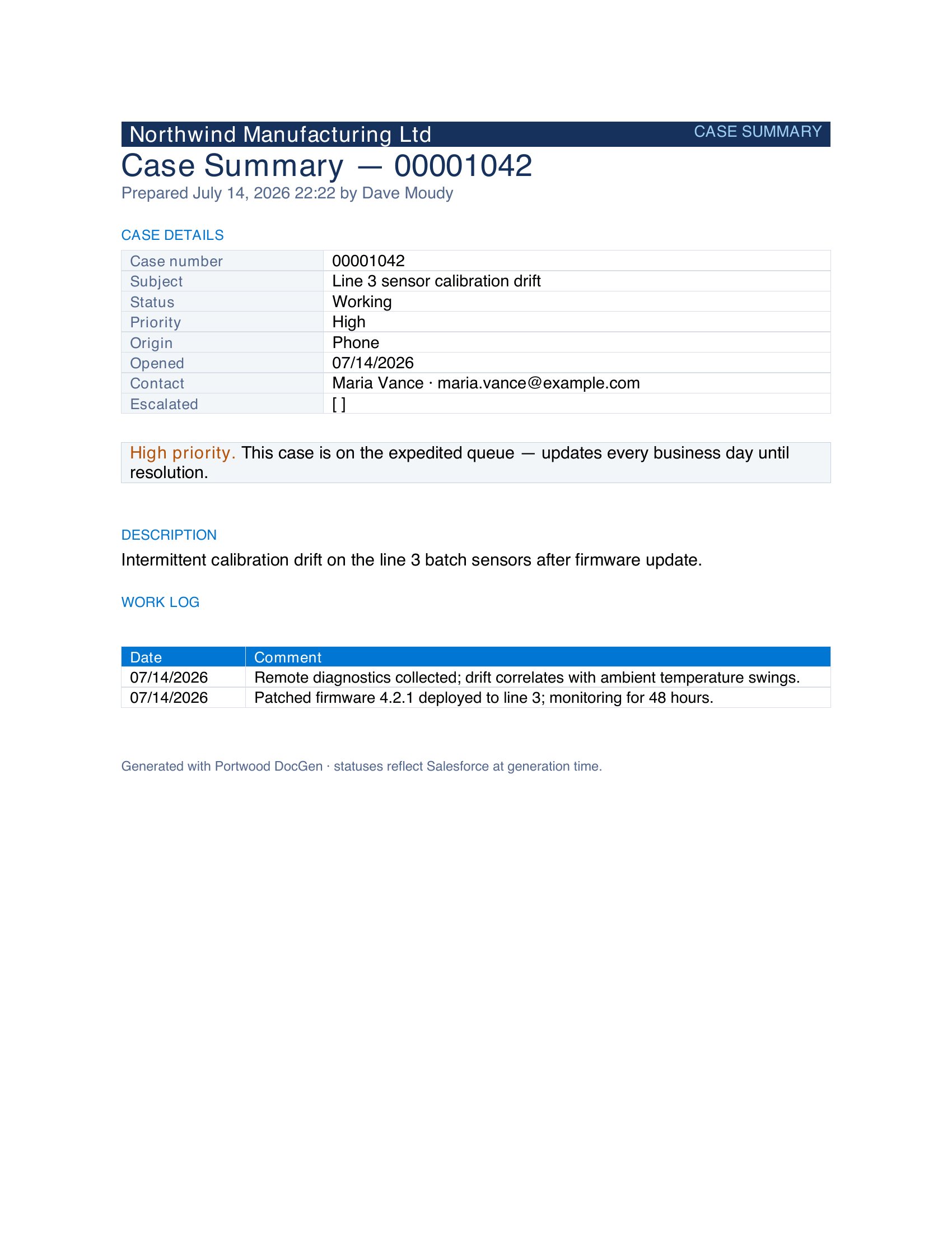 Generated output preview — Case Summary Report